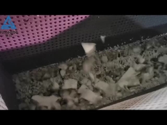 Máquina de reciclado de EPS en funcionamiento