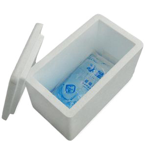 Productos de espuma EPS personalizados que logran el éxito con un diseño y fabricación adecuados de moldes EPS
